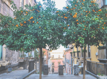 Questa è la storia di due amiche e di un’avventura straordinaria, di sogni che diventano realtà e dell’entusiasmo che può cambiare il mondo.